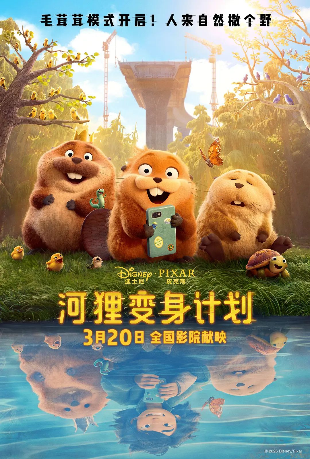 河狸变身计划（普通话版） 封面