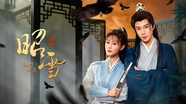 昭雪（2026） 封面