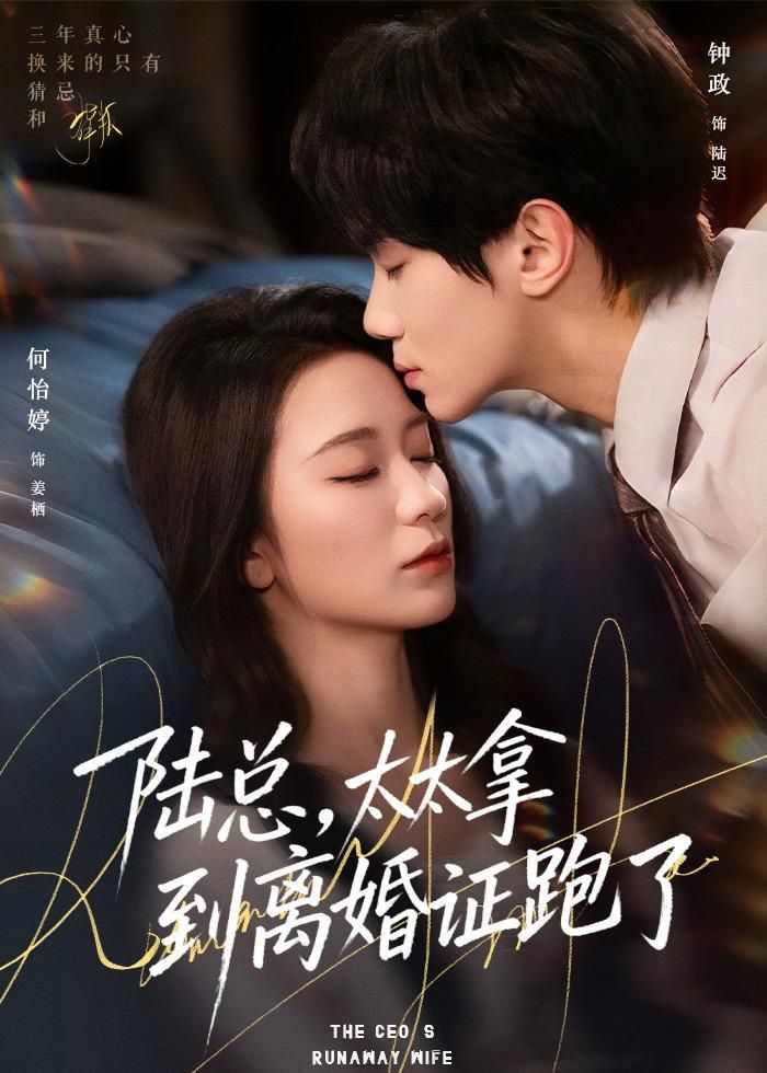 陆总，太太拿到离婚证跑了 封面