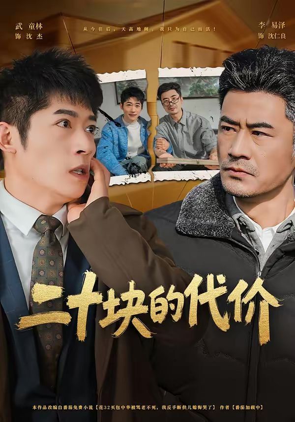 二十块的代价 封面