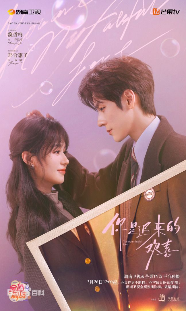 你是迟来的欢喜（2026） 封面