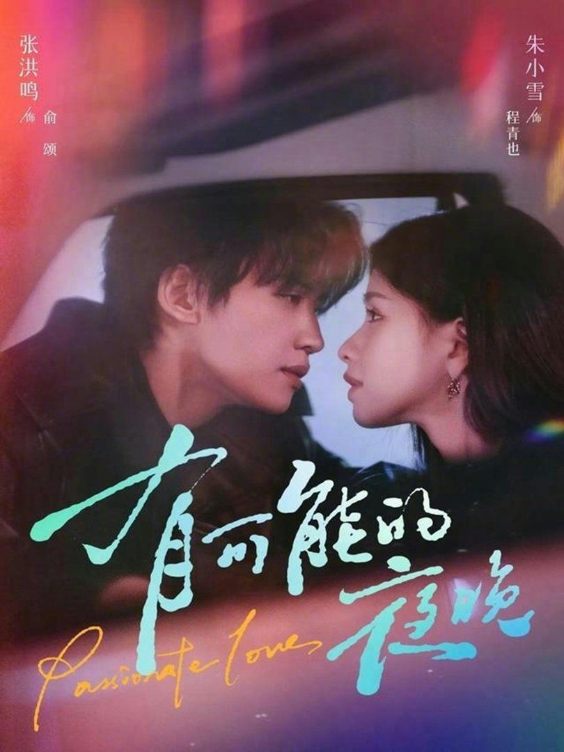 有可能的夜晚 封面