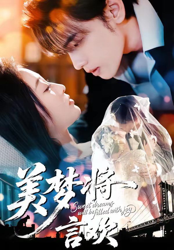 美梦将言欢 封面