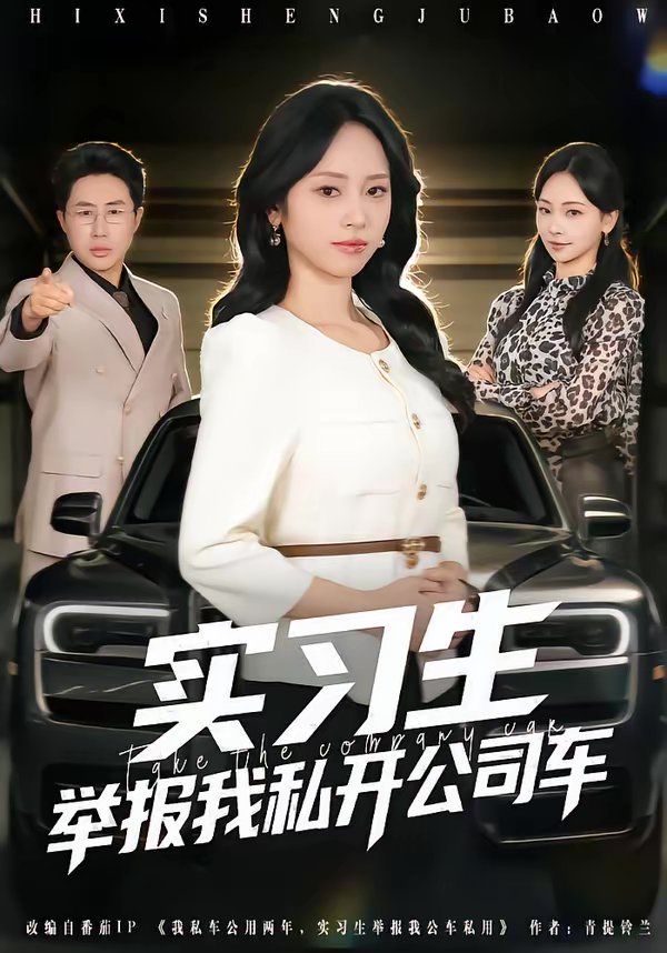 实习生举报我私开公司车 高清封面