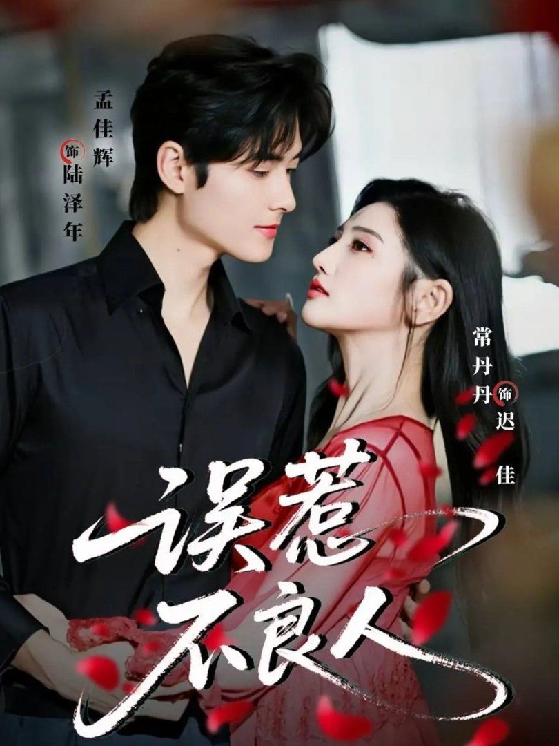 误惹不良人 封面