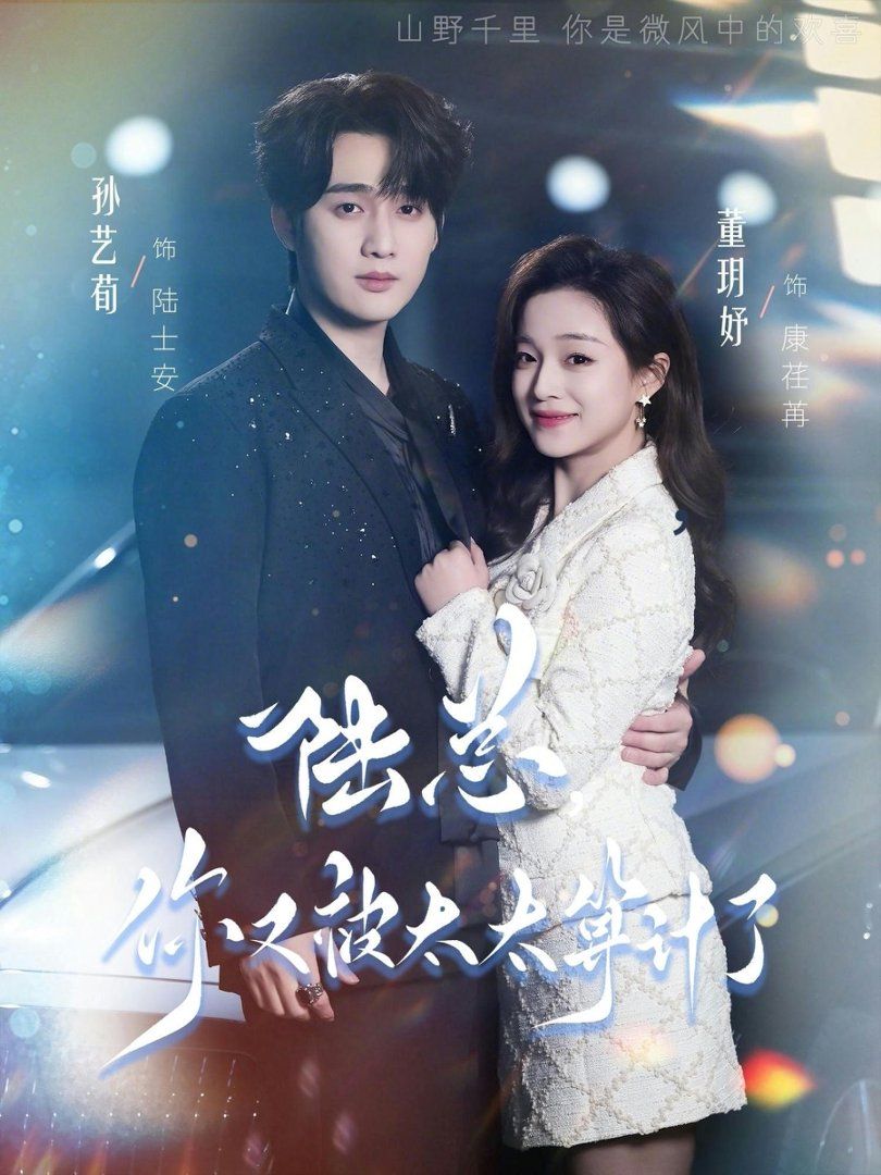 陆总，你又被太太算计了 高清封面