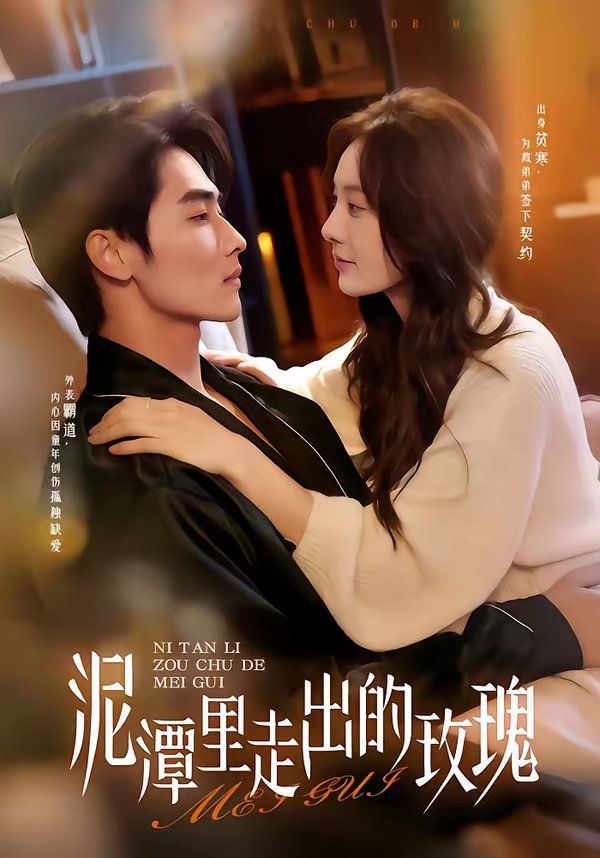 泥潭里走出的玫瑰 封面