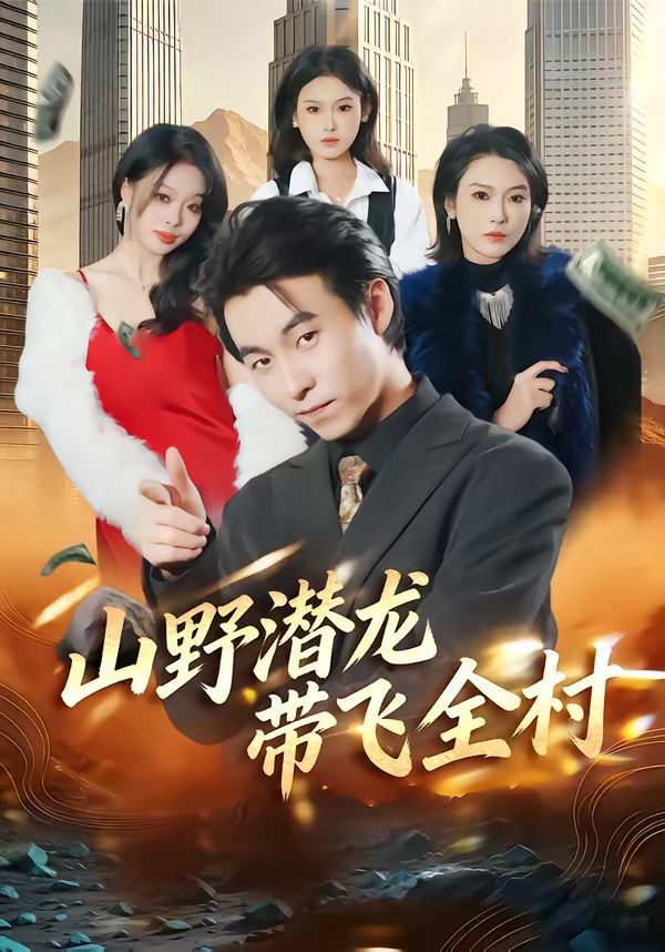 山野潜龙带飞全村 封面