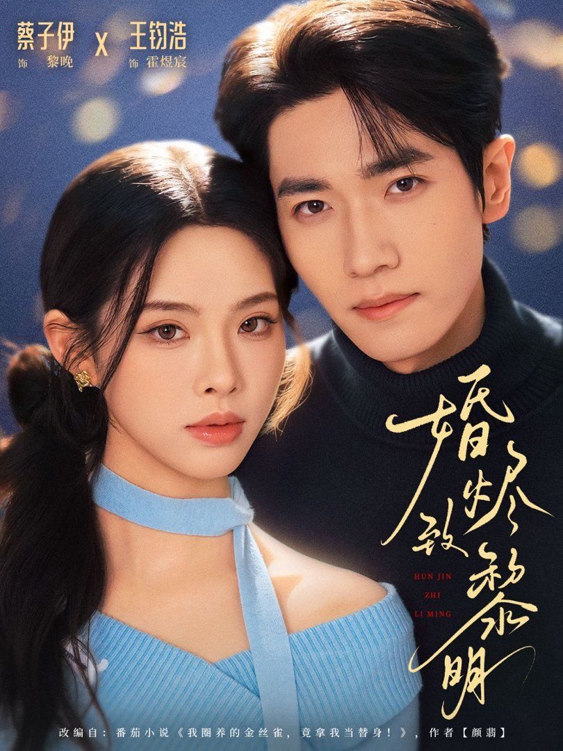 婚烬致黎明 封面