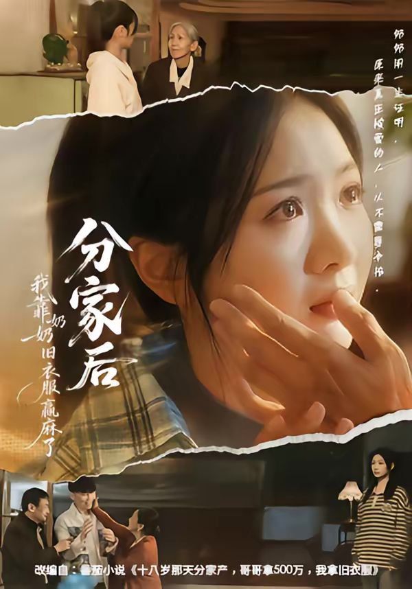 分家后我靠奶奶旧衣服赢麻了 封面