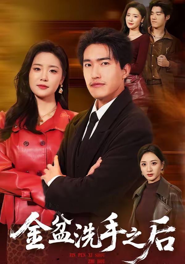金盆洗手之后 封面
