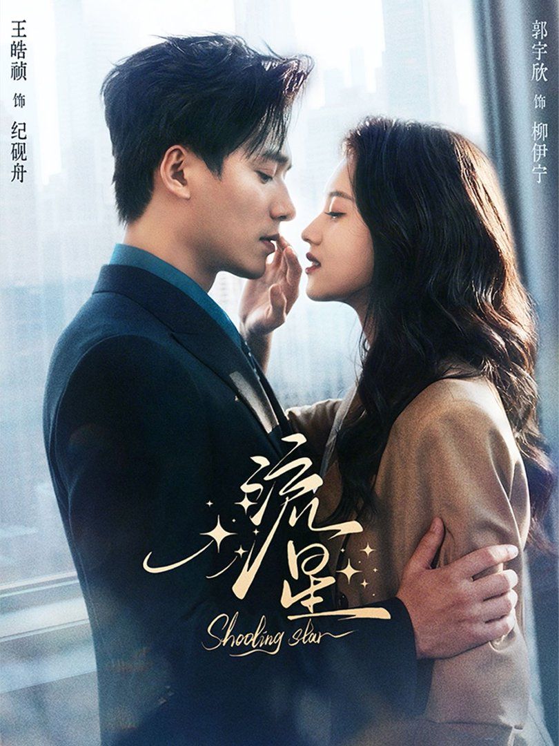 流星（2026） 封面