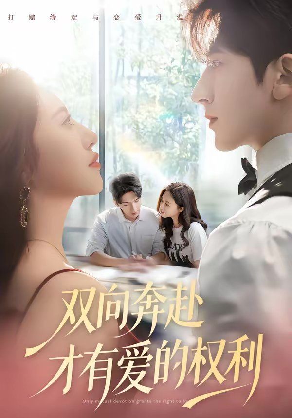 双向奔赴才有爱的权利 封面