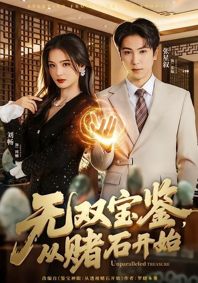 无双宝鉴，从赌石开始 封面