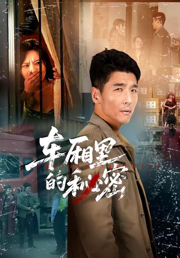 车厢里的秘密 高清封面