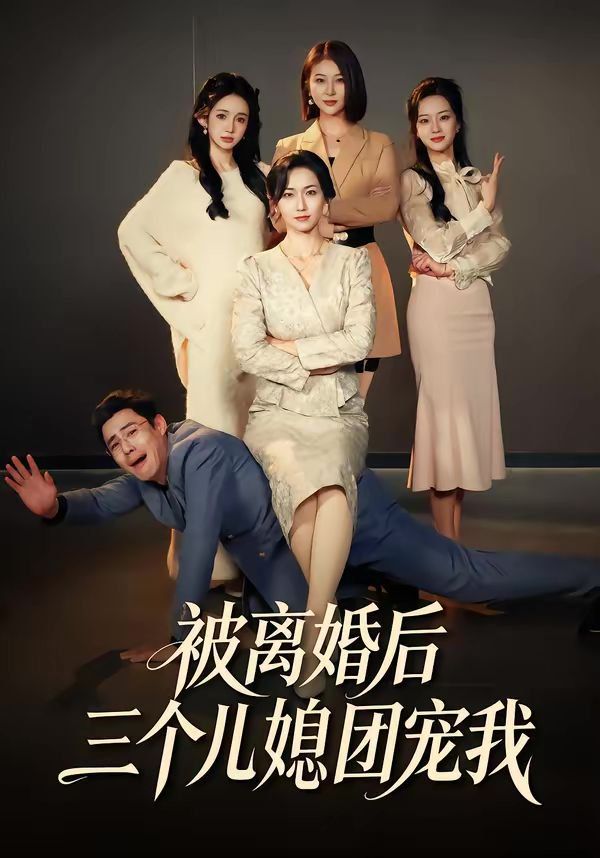 被离婚后三个儿媳团宠我 高清封面