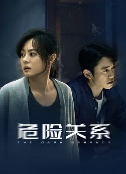 危险关系（2026） 封面