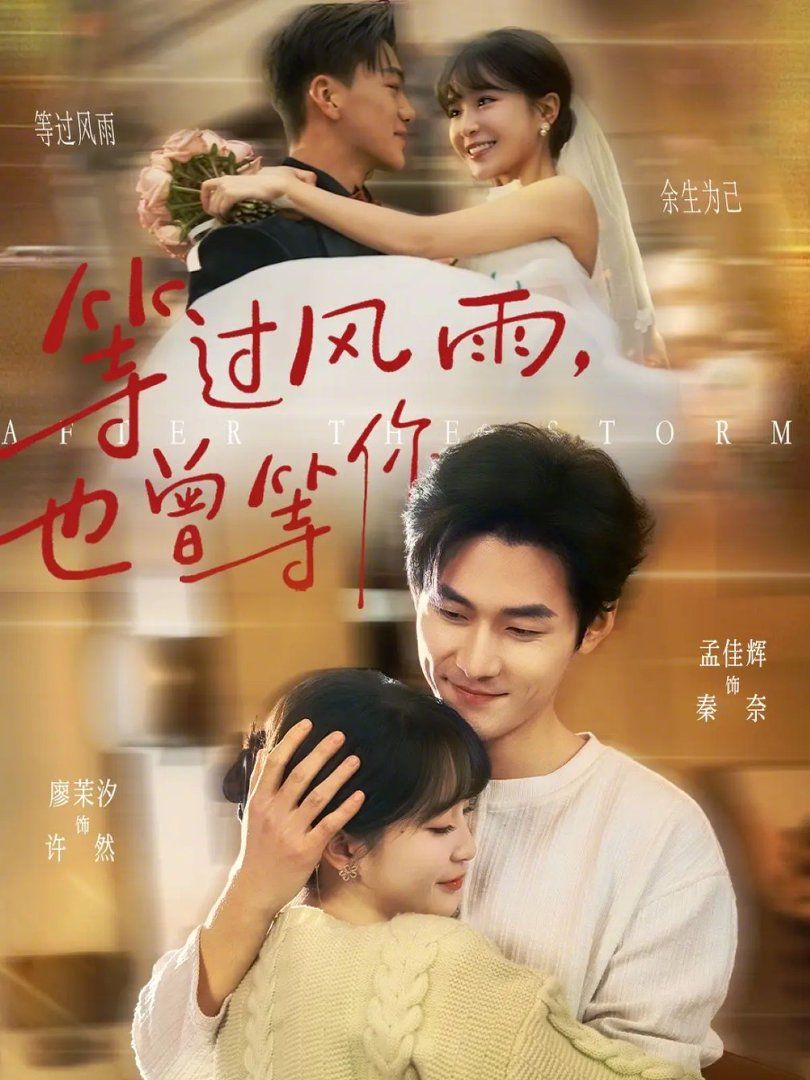 等过风雨，也曾等你 封面