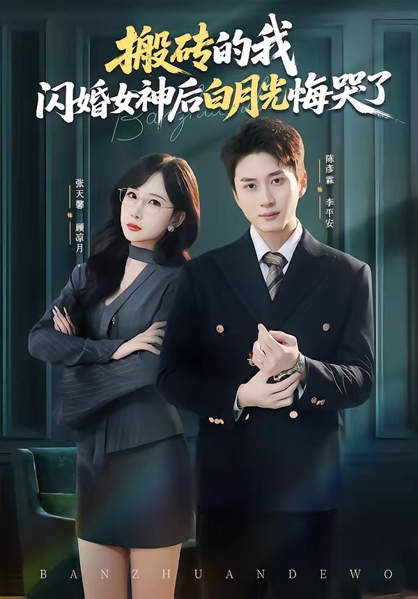 搬砖的我，闪婚女神后白月光悔哭了 封面