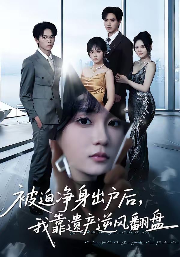 被迫净身出户后，我靠遗产逆风翻盘 高清封面