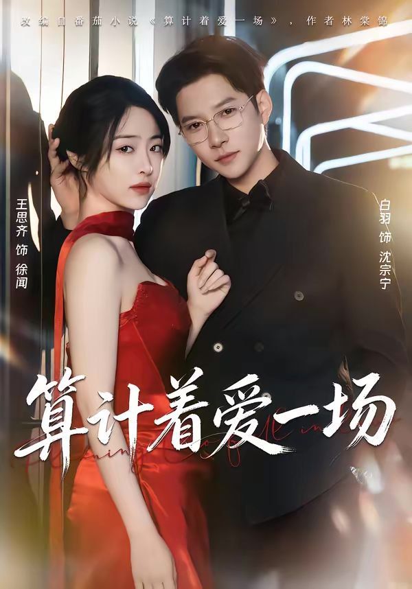 算计着爱一场 封面