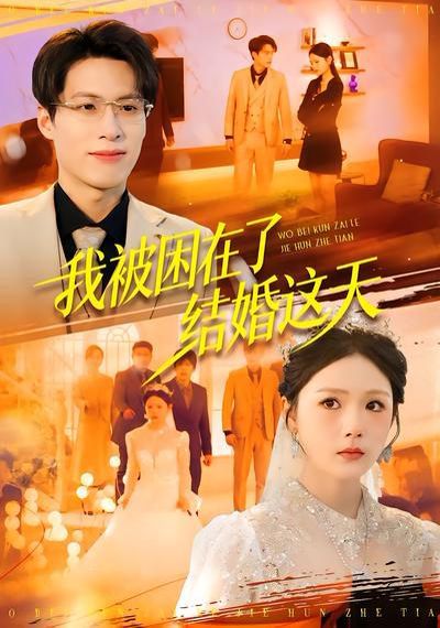 我被困在了结婚这天 高清封面