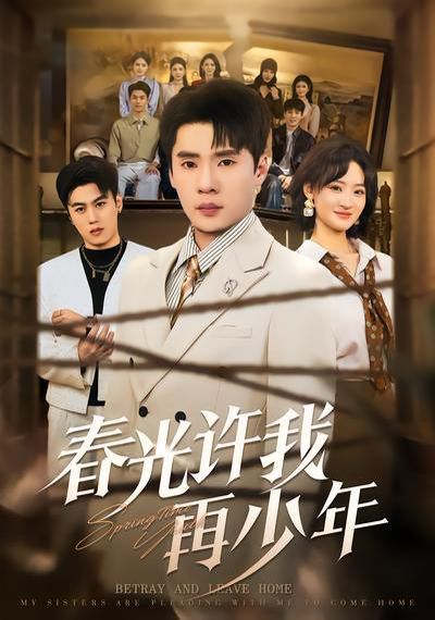 春光许我再少年 封面