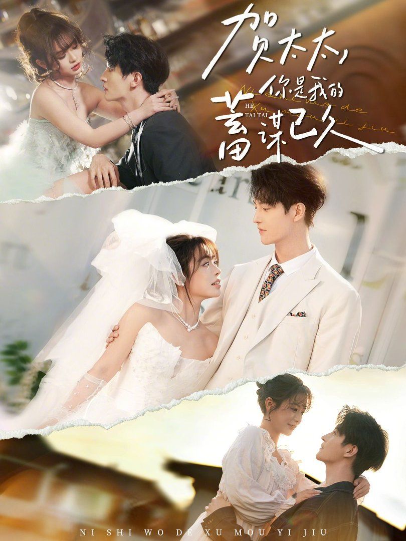 贺太太，你是我的蓄谋已久 高清封面