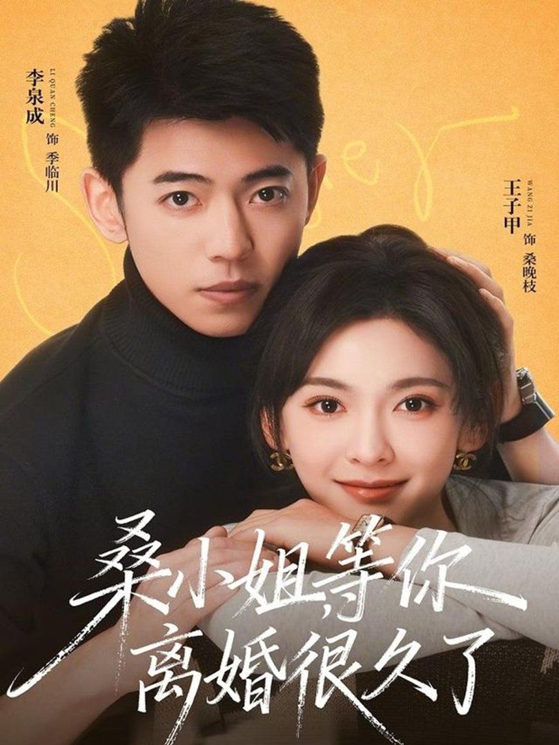 桑小姐，等你离婚很久了 高清封面