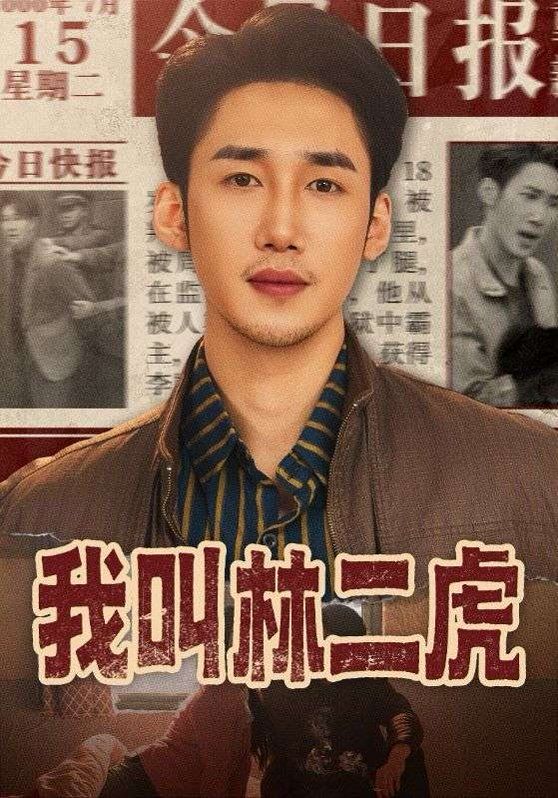 我叫林二虎 封面