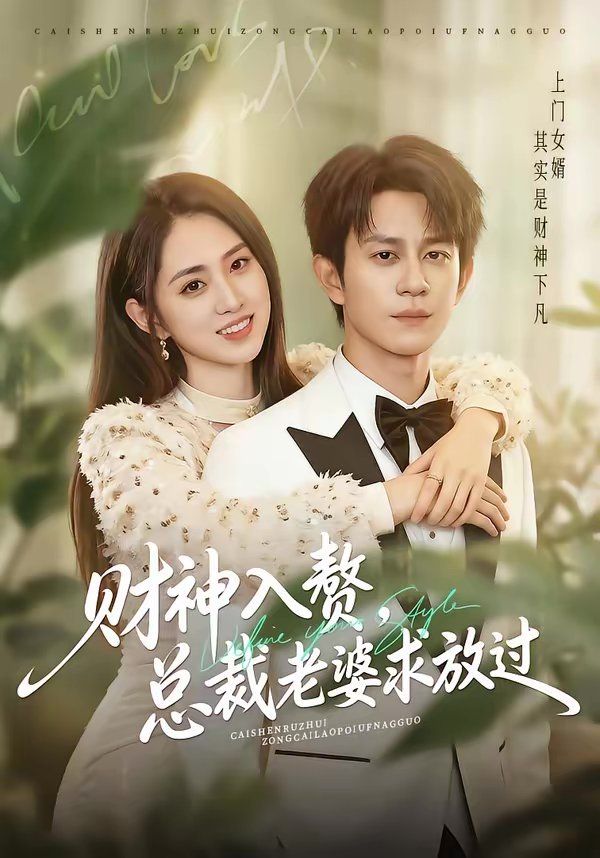 财神入赘，总裁老婆求放过 封面