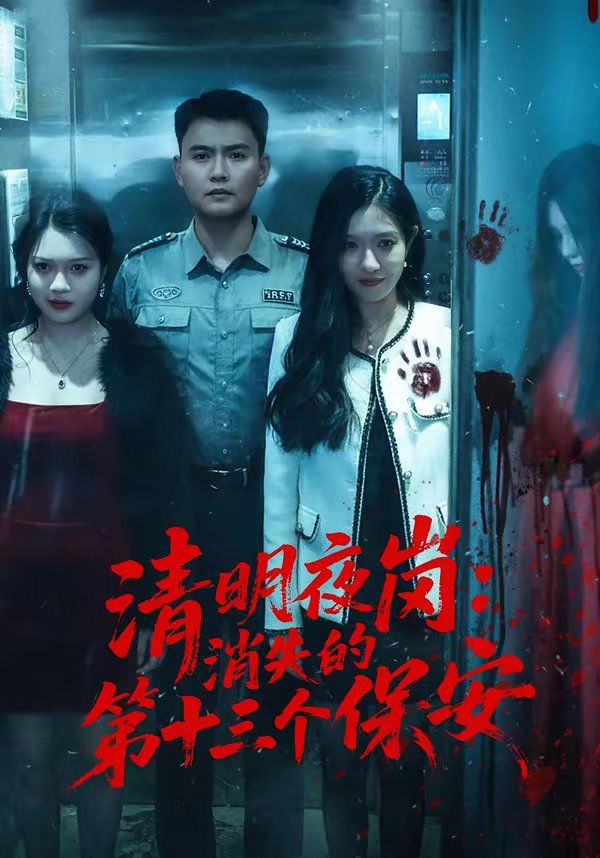 清明夜岗：消失的第十三个保安 高清封面