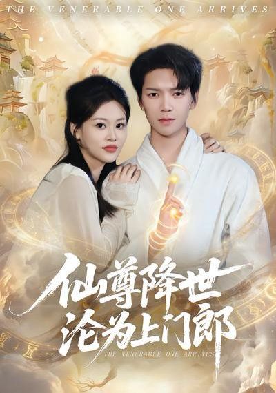 仙尊降世沦为上门郎 封面