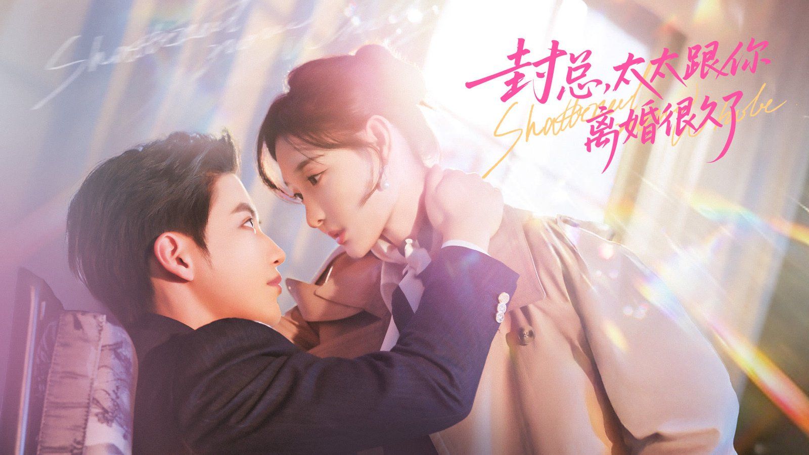 封总，太太跟你离婚很久了 封面