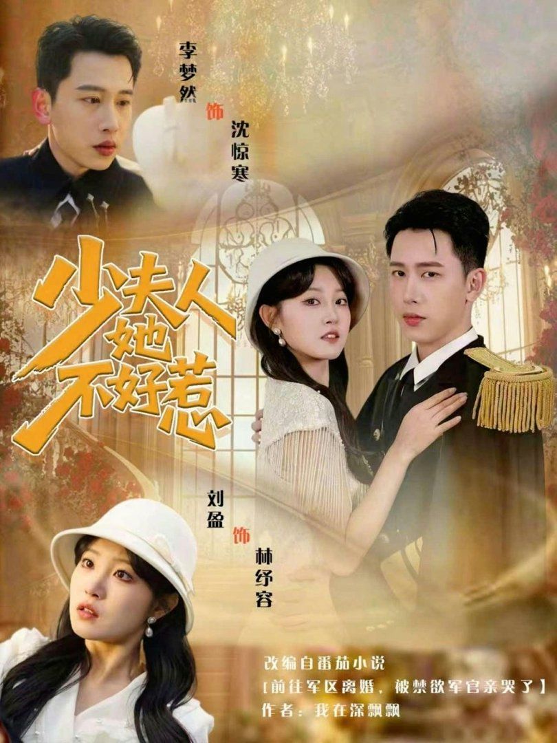 少夫人她不好惹 高清封面