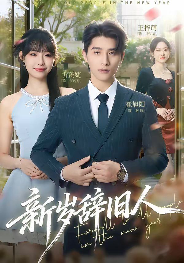 新岁辞旧人 封面