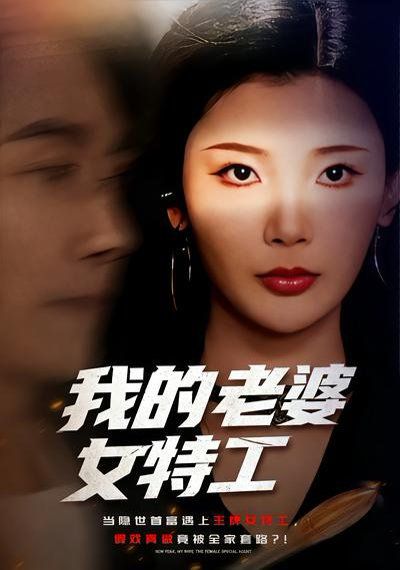 我的老婆女特工 高清封面