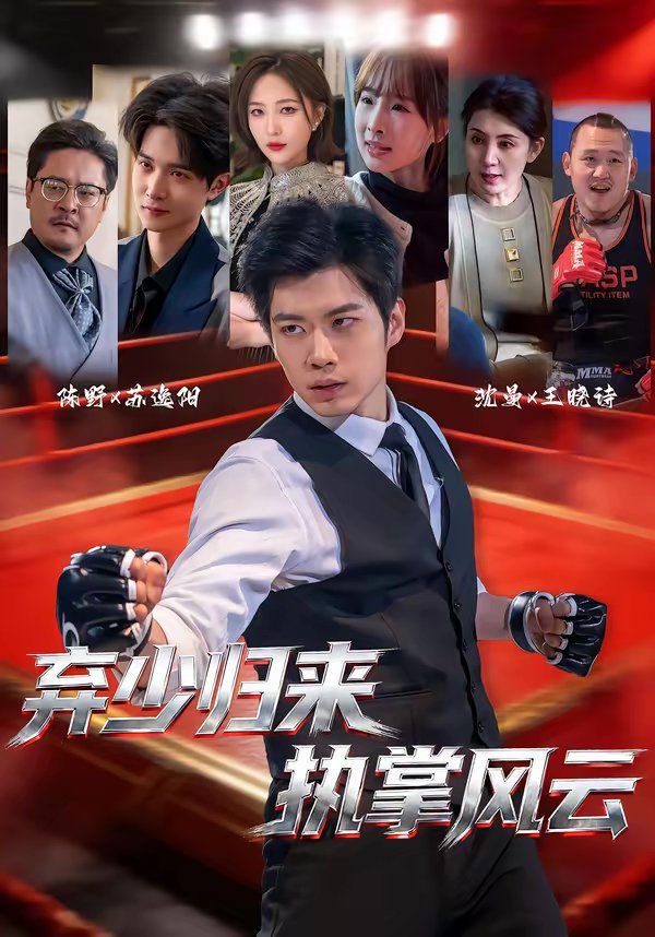 弃少归来，执掌风云 高清封面