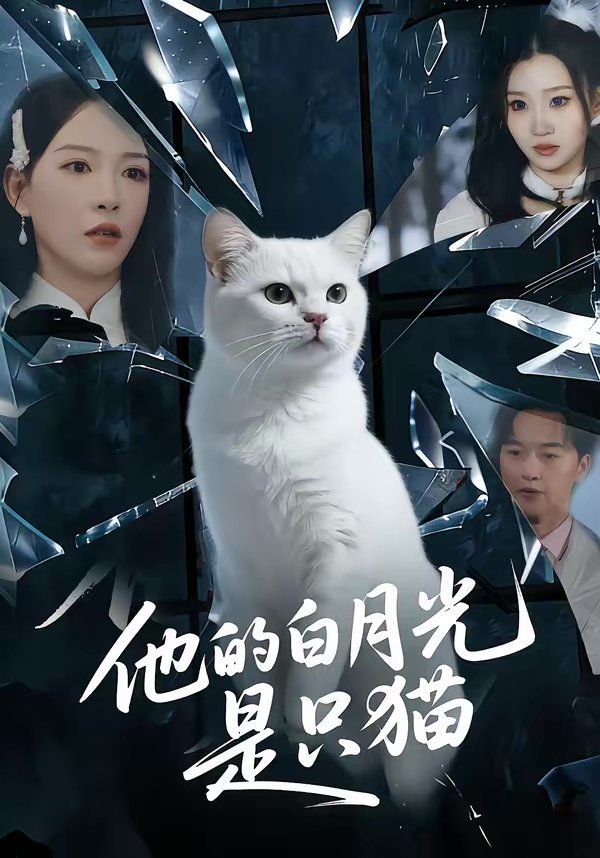 他的白月光是只猫 封面