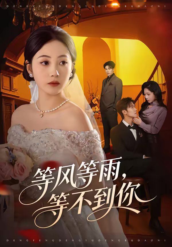 等风等雨，等不到你 封面