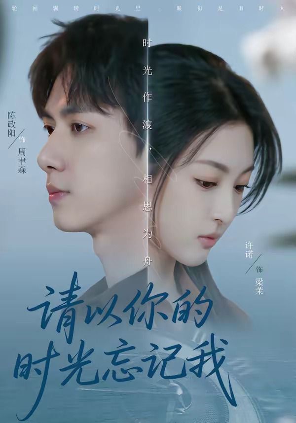 请以你的时光忘记我 封面