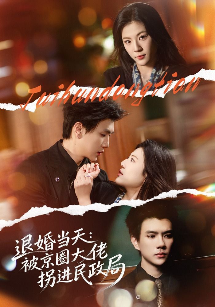 退婚当天：被京圈大佬拐进民政局 高清封面