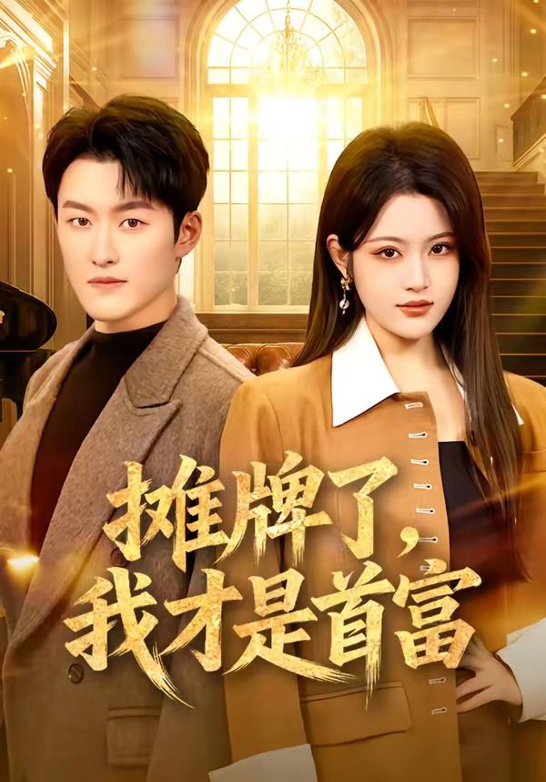 摊牌了，我才是首富 高清封面