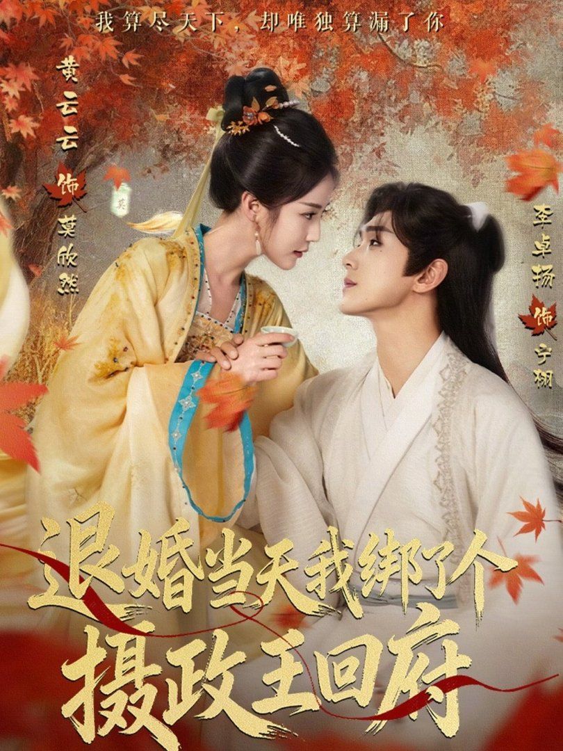 退婚当天我绑了个摄政王回府 封面