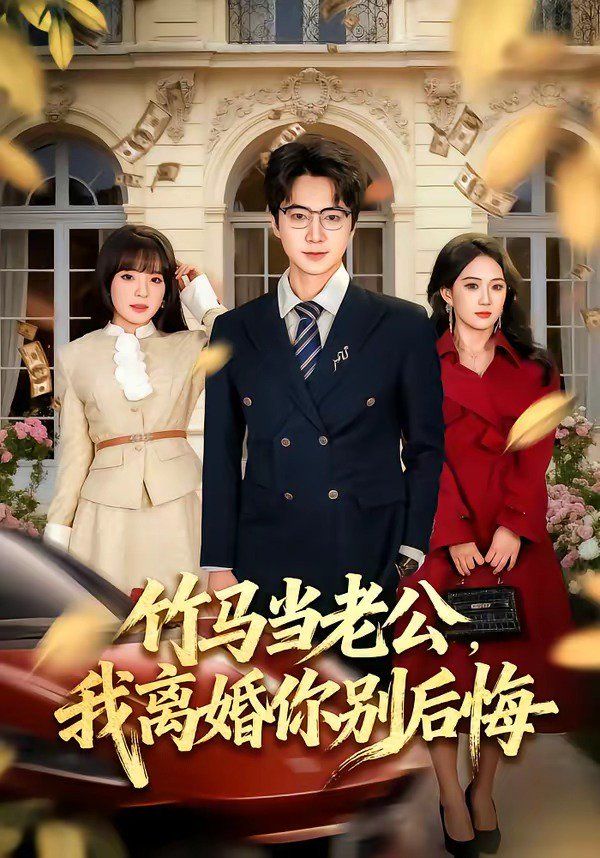 竹马当老公，我离婚你别后悔 封面