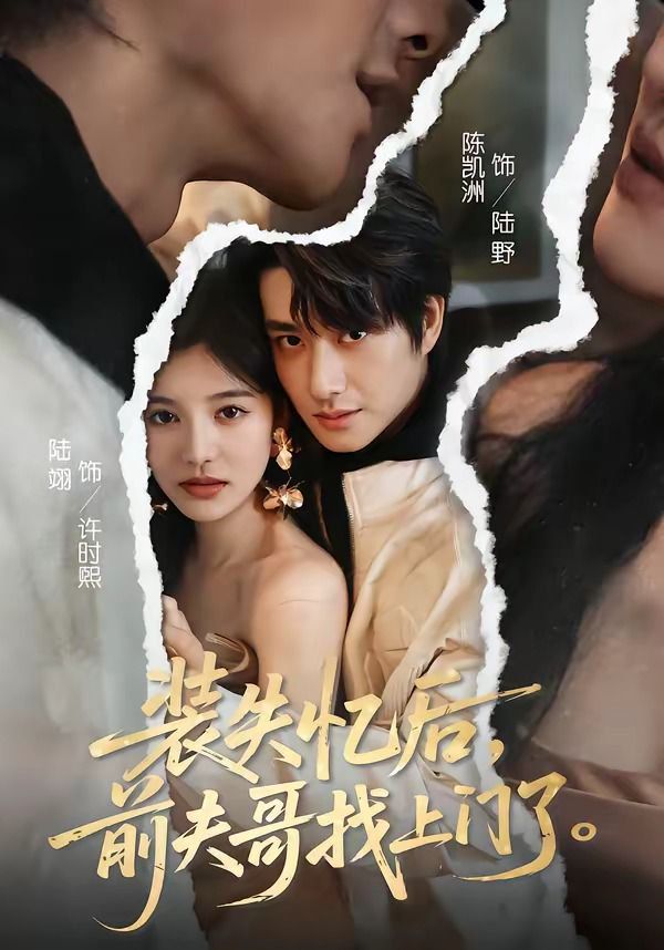 装失忆后，前夫哥找上门了 封面