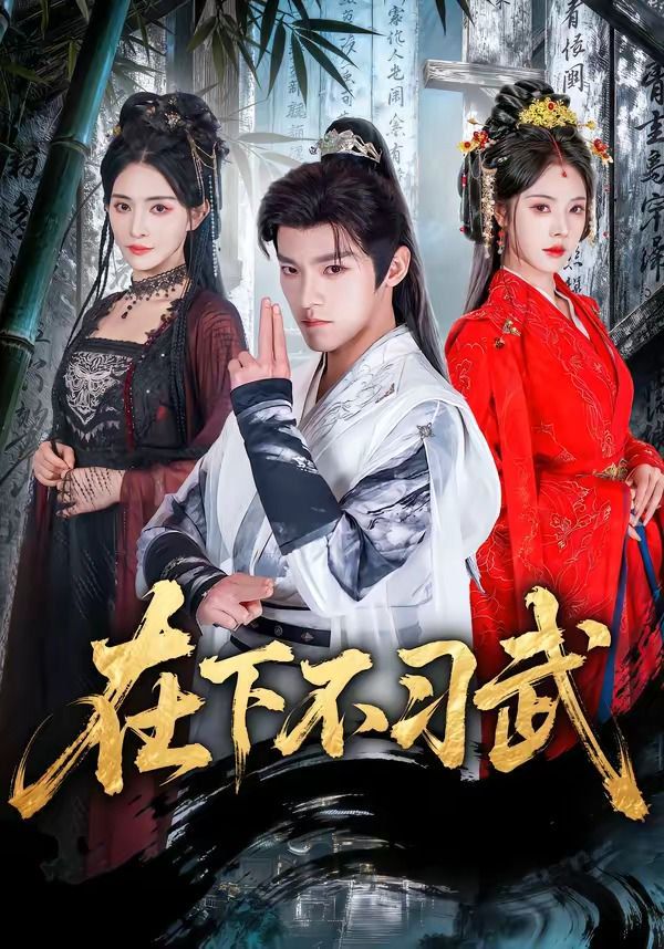 在下不习武 封面