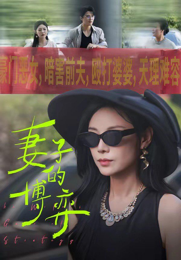 妻子的博弈 封面