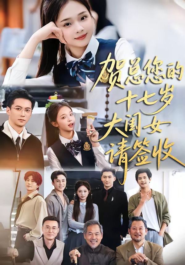贺总您的十七岁大闺女请签收 封面