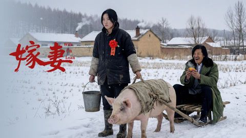 嫁妻 热播剧封面